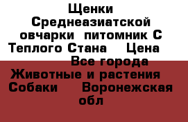 Щенки Среднеазиатской овчарки (питомник С Теплого Стана) › Цена ­ 20 000 - Все города Животные и растения » Собаки   . Воронежская обл.